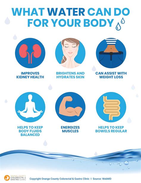 what does water body do.